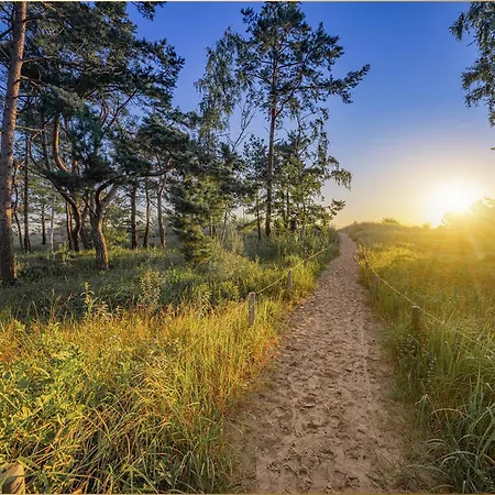 Ostseeglueck App Morgensonne * 洛丁